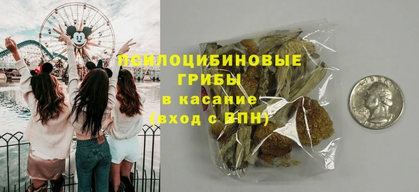 гидропоника Абаза