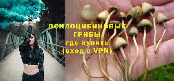 эйфоретик Алексеевка
