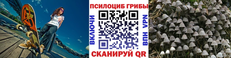 что такое   Горбатов  Псилоцибиновые грибы мицелий 
